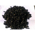 natural black/red goji berry Seedings and wolfberry plants